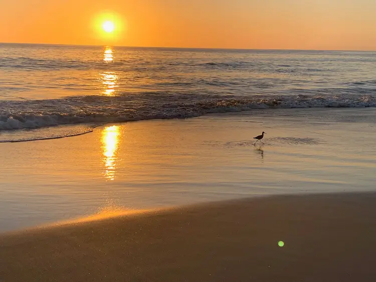Strands shoreline at sunset